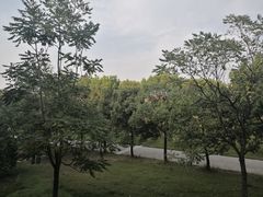 -同济大学(嘉定校区)