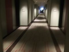 -成都安仁福朋喜来登酒店