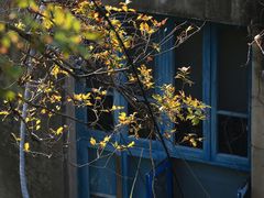 -东沙渔村