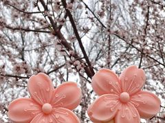 -桃花堤公园
