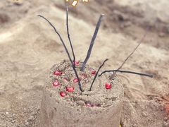 -东钱湖旅游度假区