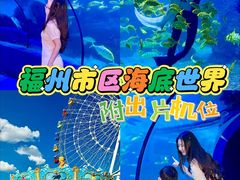 -左海海底世界