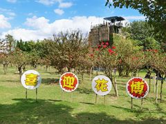 -东平国家森林公园