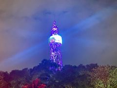 -金鸡山公园