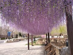 -静之湖湖畔餐厅