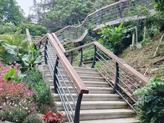 -深圳仙湖植物园