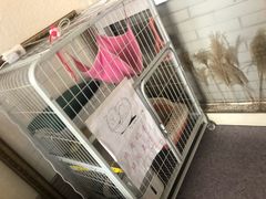 -撒玛利亚超级密室·怪谈店