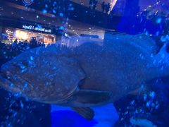 -成都浩海立方海洋公园