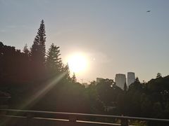 -云溪植物园