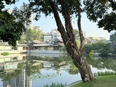 -荔湾湖公园