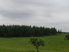 -御道口草原森林风景区