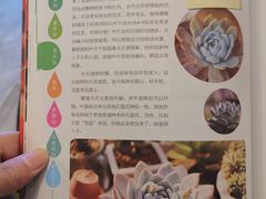 -五峰书院(南洋泾路店)