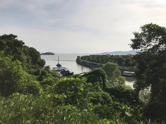 -上海市保健医疗中心