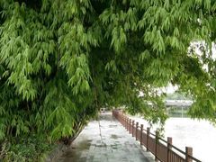 -贵阳市花溪国家城市湿地公园