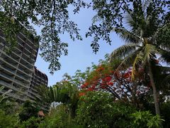 -三亚湾海居铂尔曼度假酒店