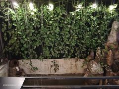 -甲大帅·甲鱼·椰子鸡主题餐厅(唐家店)