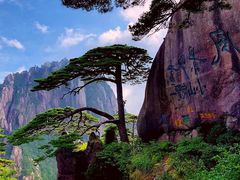-黄山风景区