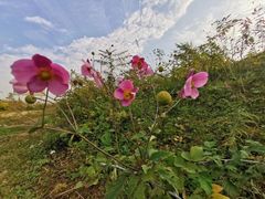 -山王坪喀斯特国家生态公园