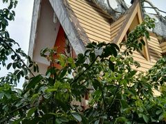 -疯狂屋