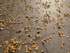 -杭州师范大学(下沙校区)