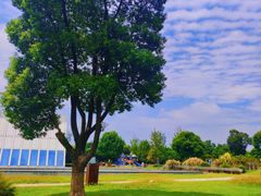 -西山漾湿地公园