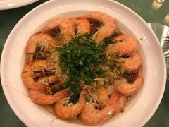 -中国饭店-餐厅