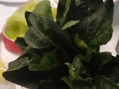 -洪氏嗨捞·猪肚鸡火锅(阳光天地店)