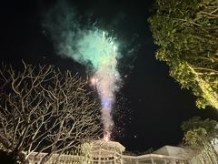 -河内西湖莲花自助餐厅