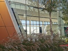 -广州白云国际机场-T2航站楼