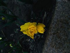 -廊坊文化艺术中心