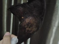 -张鸭子重庆特产卤味小吃(未来国际店)