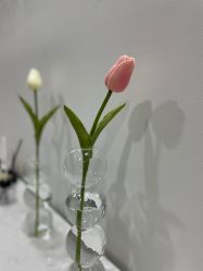 点击看大图 -凡碧诗毛孔清洁收细