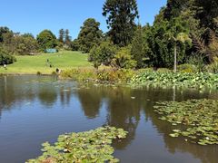 -墨尔本皇家植物园