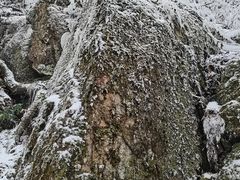 -萍乡武功山风景名胜区