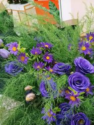 -美肤盾祛痘·问题肌头疗管理中心