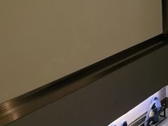 -陆琴脚艺·足浴·SPA(夫子庙店)