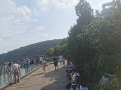 -皇藏峪国家森林公园
