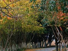 -天鹅湖体育公园