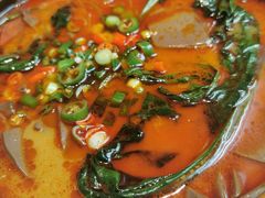 -阿五黄河大鲤鱼(英协路店)