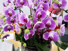 -中国工商银行(博山路支行)