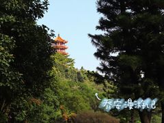 -深圳仙湖植物园
