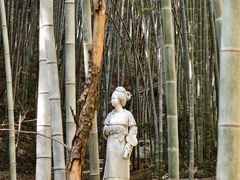 -敬亭山风景名胜区