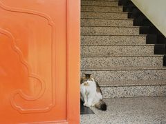 -北京石刻艺术博物馆(五塔寺)