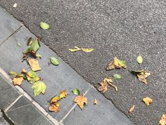 -星巴克臻选(思南公馆店)