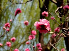 -元大都城垣遗址公园