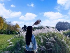 -贵阳市花溪国家城市湿地公园