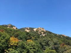 -罗浮宫酒店