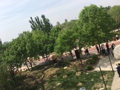 -武清南湖绿博园