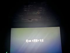 -CGV影城(东方广场4DX店)