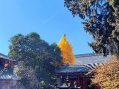 -西安市广仁寺